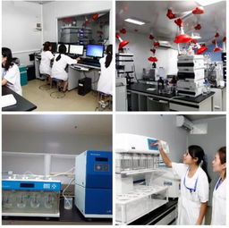 公司新聞 新藥與醫(yī)療器械一站式綜合服務(wù)CRO平臺發(fā)布