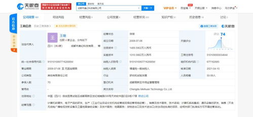計(jì)算機(jī)軟硬件研發(fā)及銷(xiāo)售 科技創(chuàng)新的雙輪驅(qū)動(dòng)