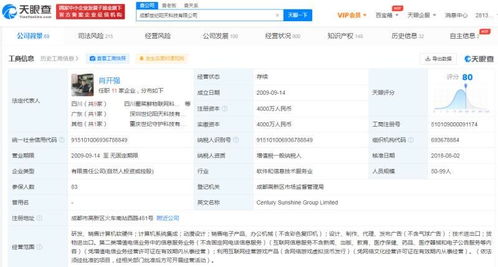 計(jì)算機(jī)軟硬件研發(fā)與銷(xiāo)售 技術(shù)驅(qū)動(dòng)與市場(chǎng)拓展的雙輪引擎